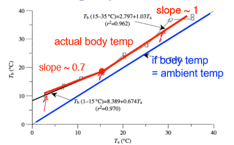 <p>body temperature = ambient temperature </p><p></p>