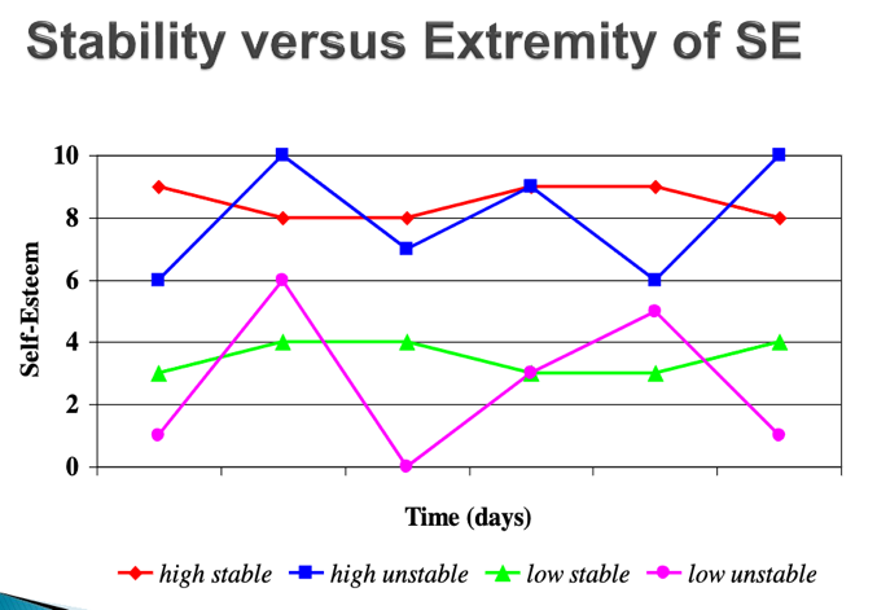 what did the graph on stability vs. extremity of SE show?
