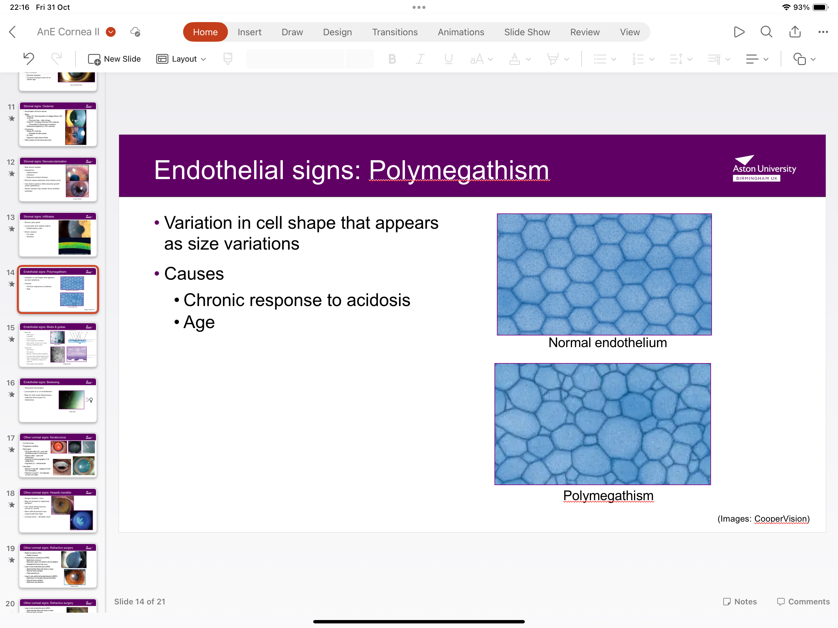 <p>Variation in cell shape caused by chronic response to acidosis or age</p>
