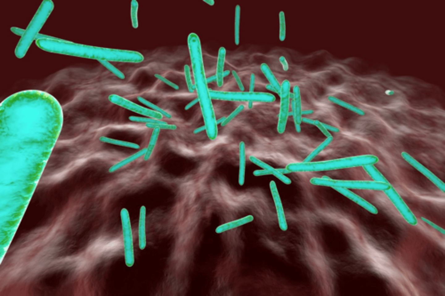 <p>They may have a characteristic greenish hue due to the production of pyocyanin.</p>