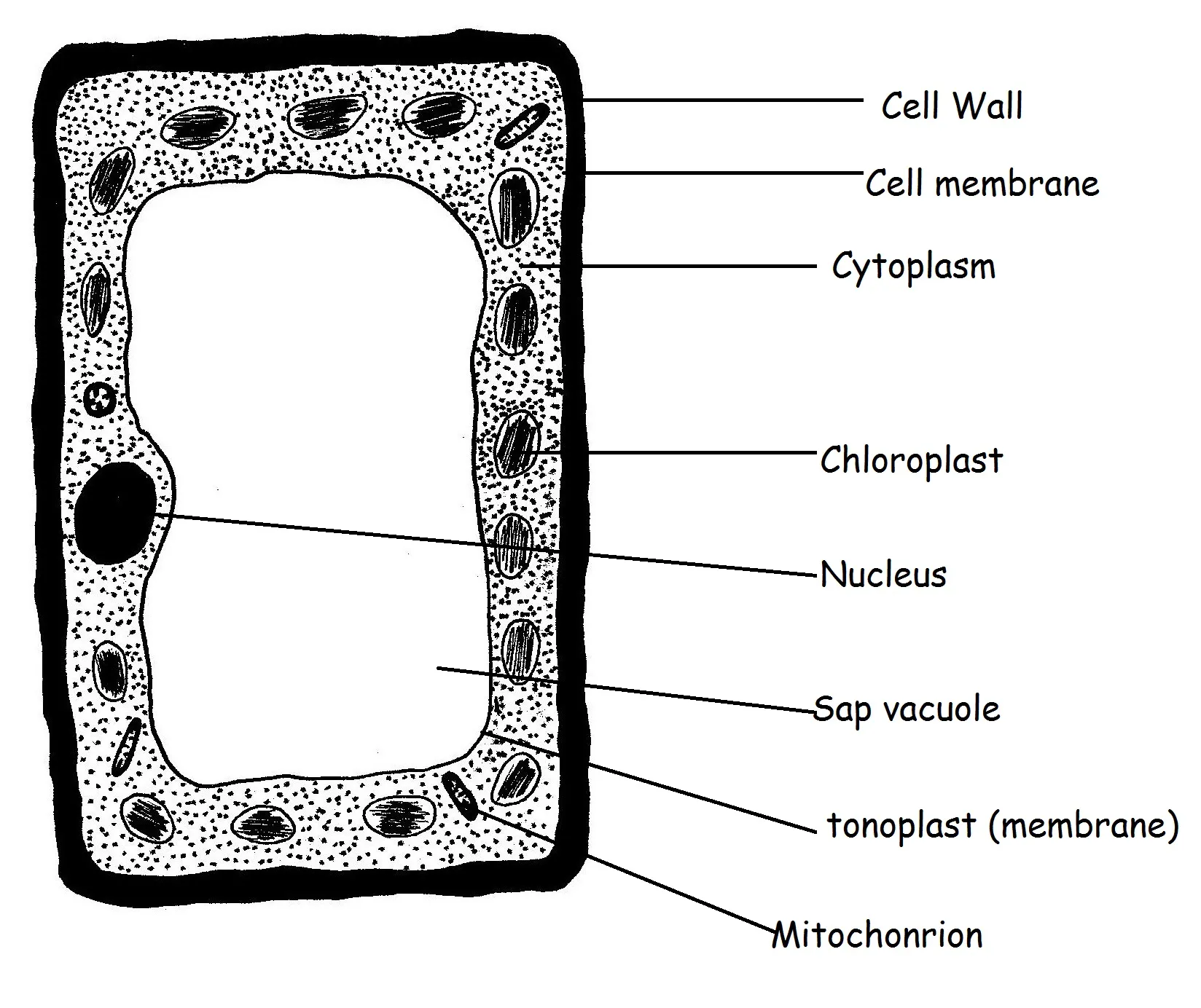 <p>Describe this image</p>