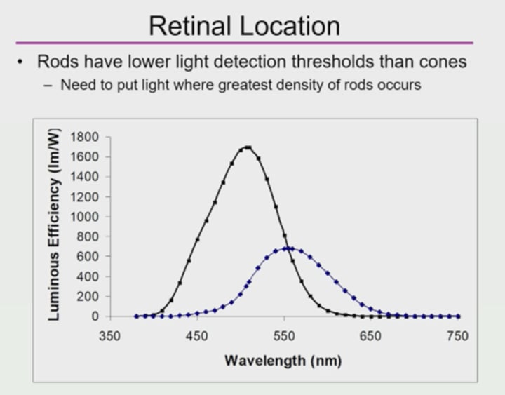 <p>1.Rods have lower light detect thresholds than cones<br><br>2.Need to put a light where there is the greatest density of rods occurs</p>