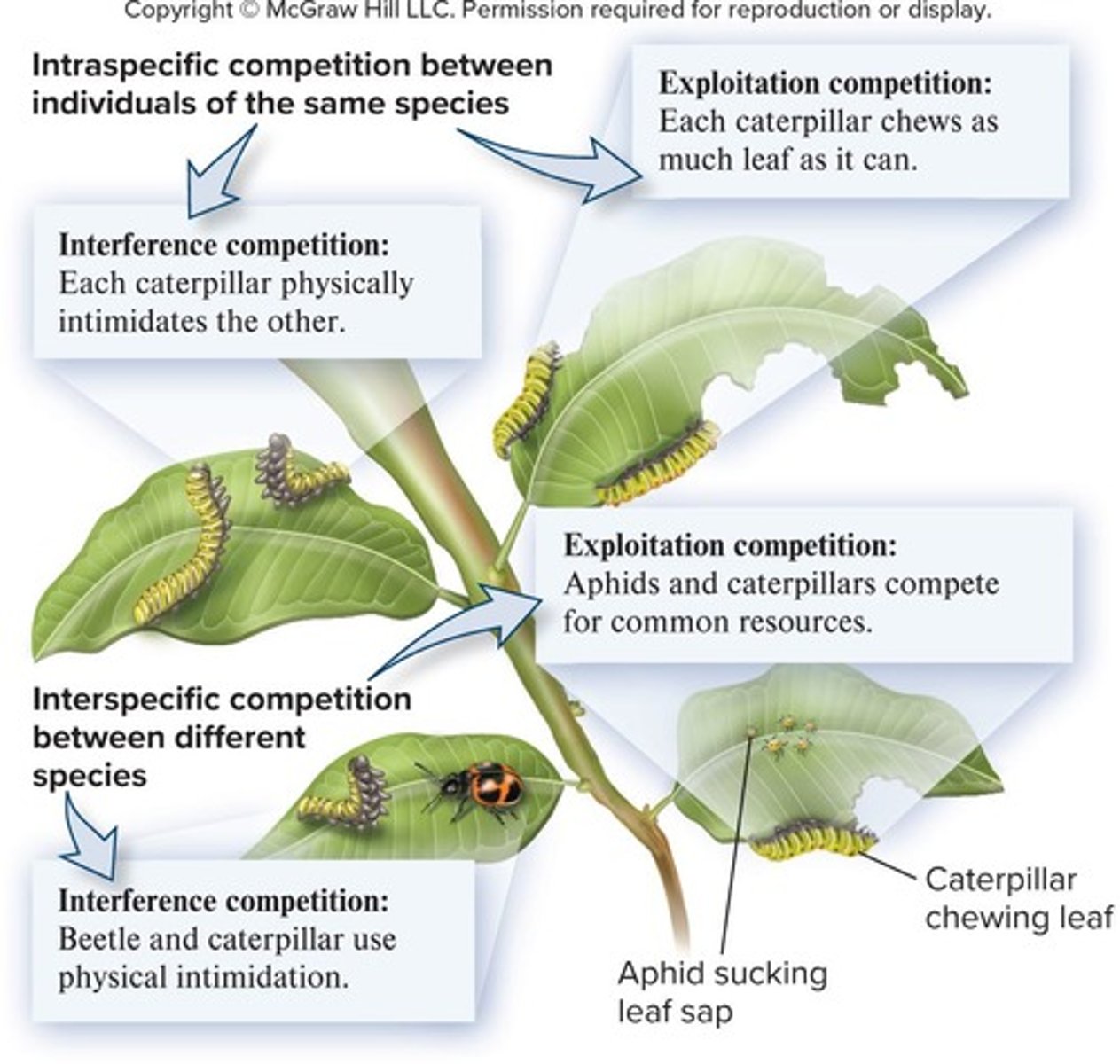 <p>An interaction between two or more species in which both organisms rely and compete for the same resource(s) and are harmed to some extent.</p>