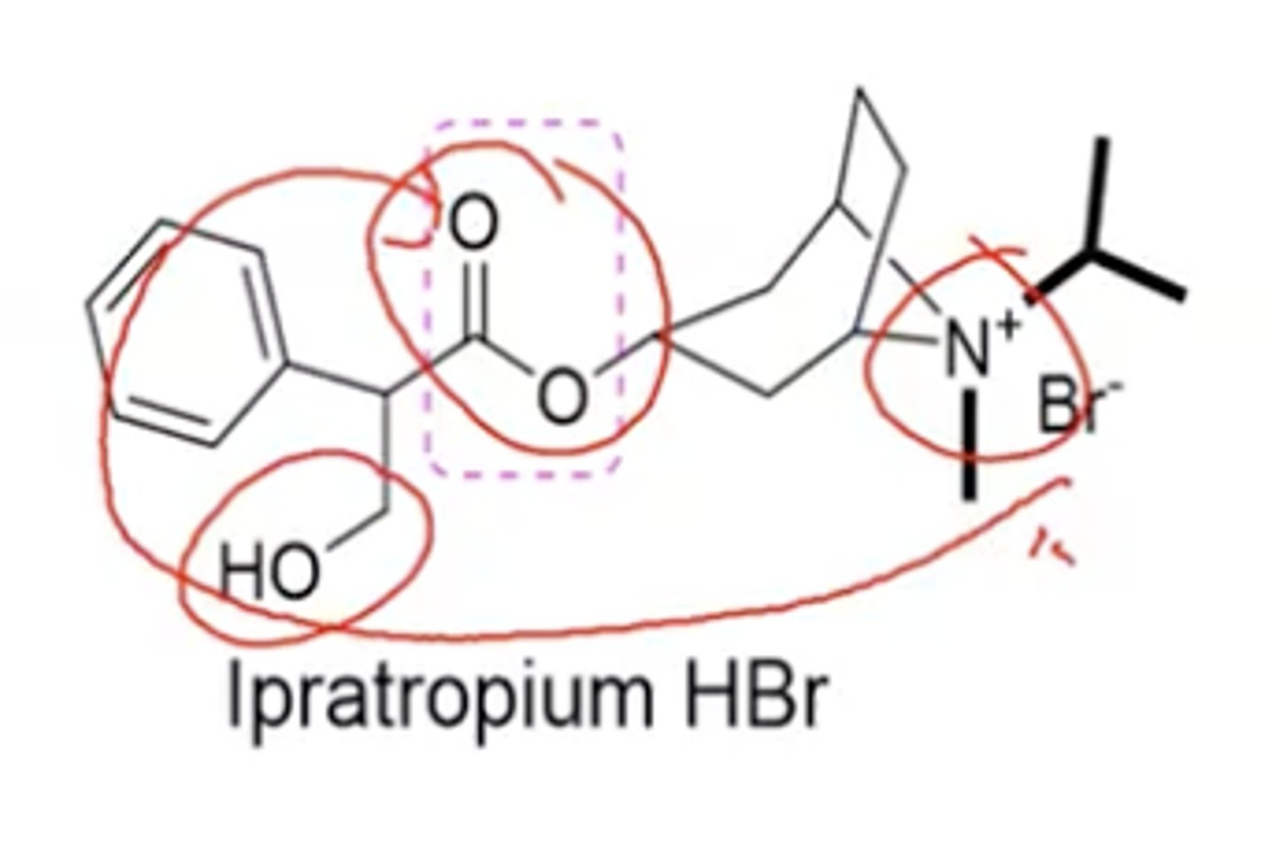 <p>amino alcohol ester, SAMA</p>