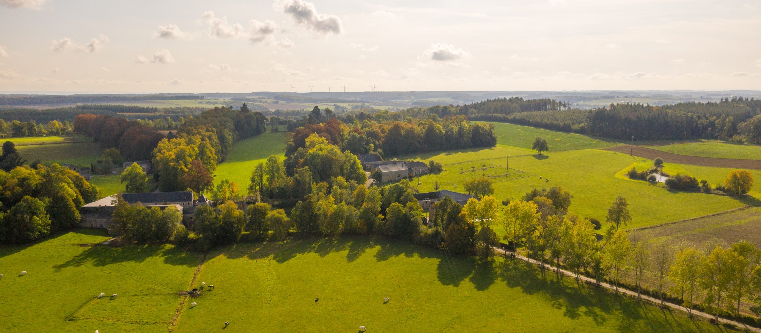 * Vruchtbare landbouwsteek
* Vooral akkers en weiden
* Leemgronden
* Afwisseling harde zandsteen met
  zachtere kalksteendepressies
  * Golvend plateau

    \
