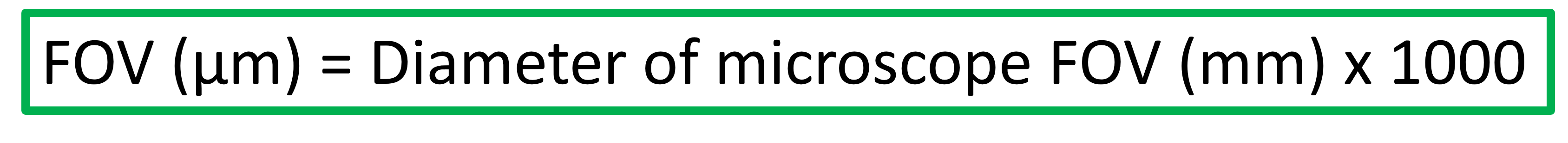 <p></p>
