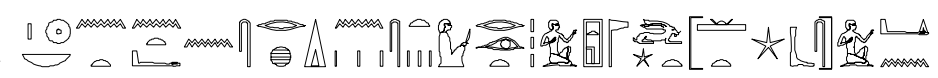 term image