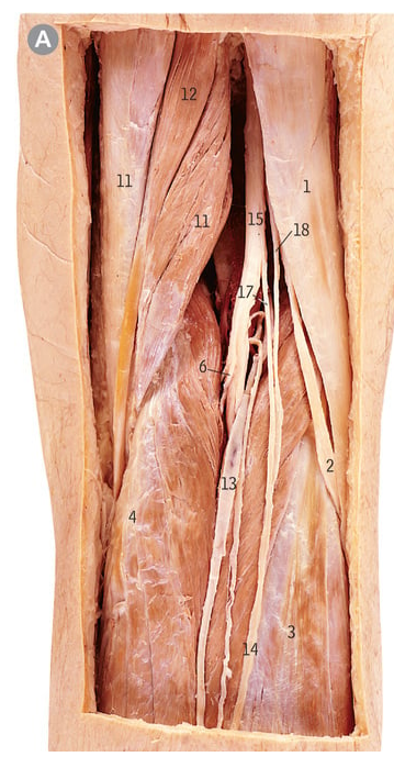 <p>1</p>