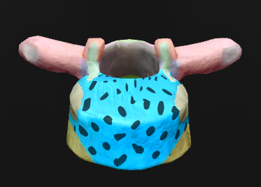 term image