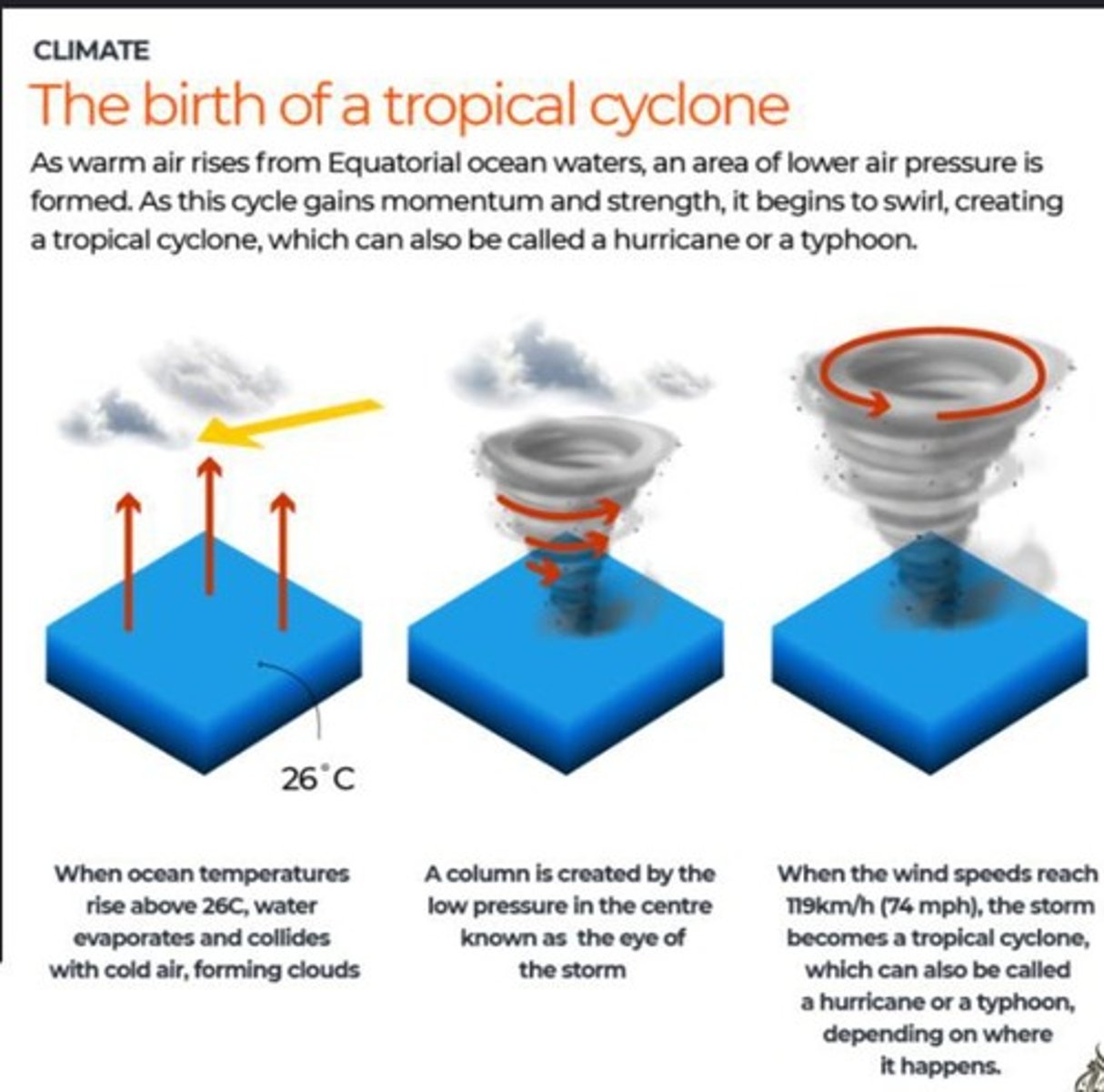 <p>A storm with sustained winds 63-118 km/h.</p>