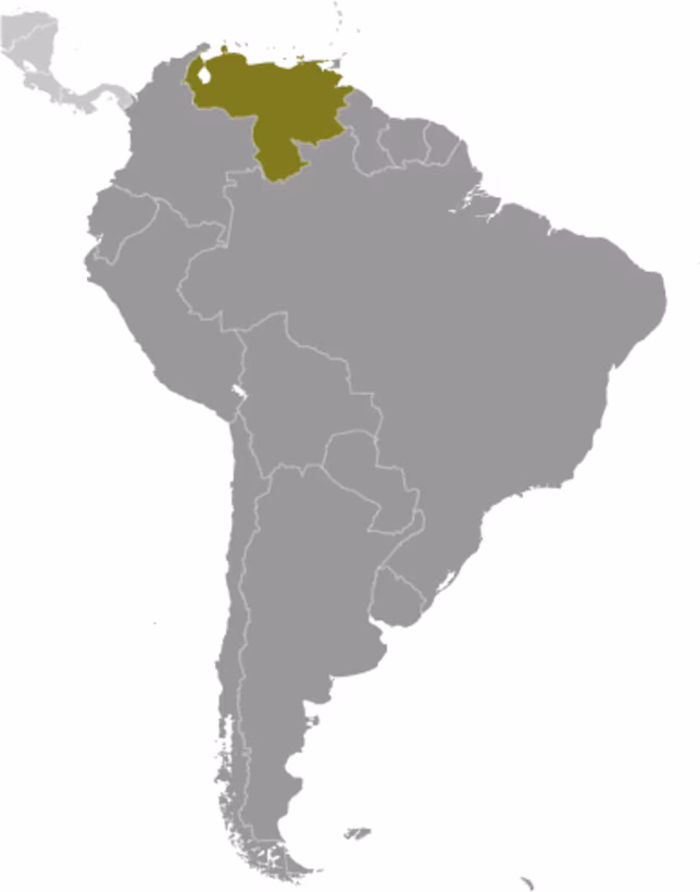 <p>Venezuela</p>