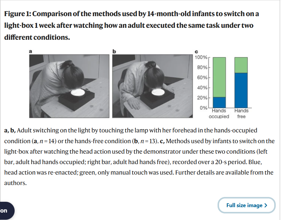 <ul><li><p><span>Here we show that if an adult demonstrates a new way to execute a task to a group of infants aged 14 months, the children will use this action to achieve the same goal only if they consider it to be the most rational alternative. Our results indicate that imitation of goal-directed action by preverbal infants is a selective, interpretative process, rather than a simple re-enactment of the means used by a demonstrator, as was previously thought</span></p></li></ul><p></p>