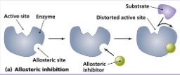 <p>bindind stabalizes inactive form of enzyme</p>