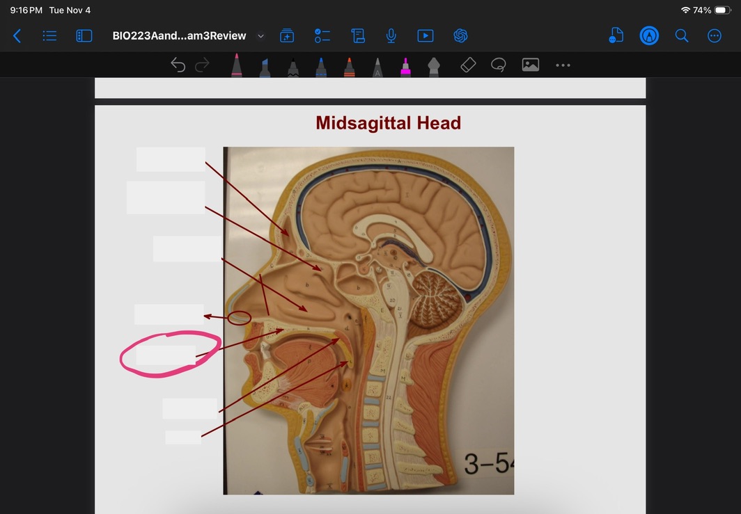 <p>What is this?</p>