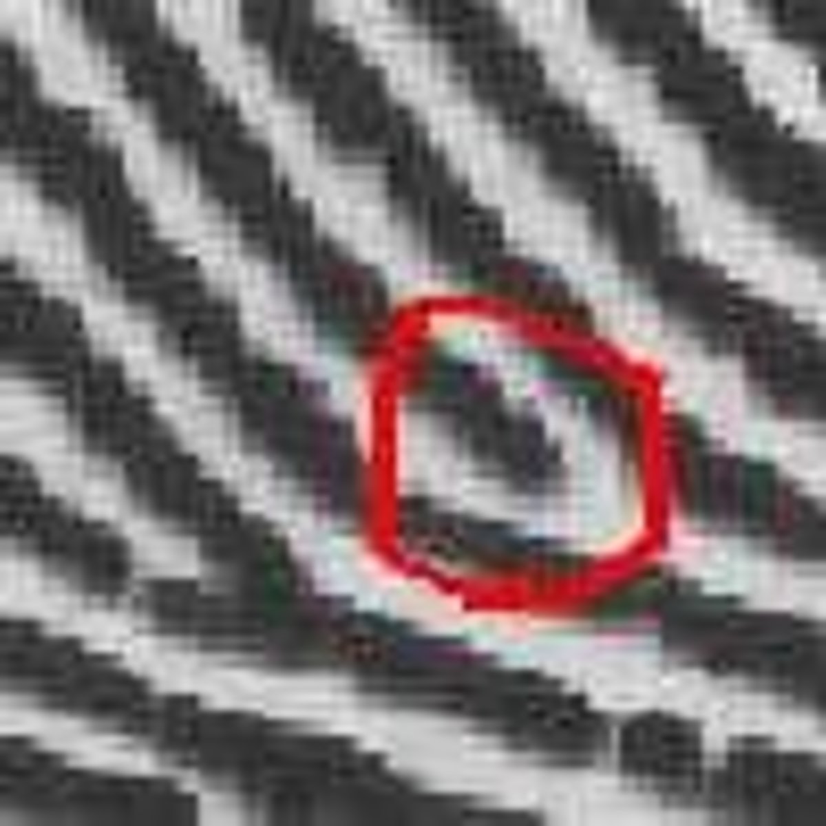 <p>8-16 ridge comparisons needed to identify matching fingerprints</p>