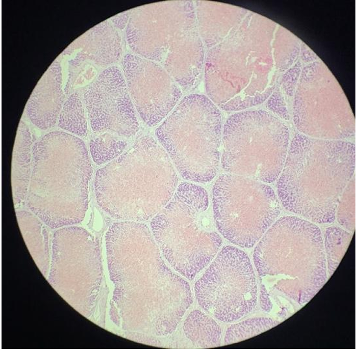 <p>this is?</p><img src="https://knowt-user-attachments.s3.amazonaws.com/d049ec10-7c55-4ad1-8b9f-0ca037b82eef.png" data-width="50%" data-align="center"><p></p>