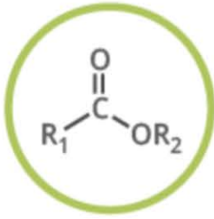 <p>Name the functional group</p>