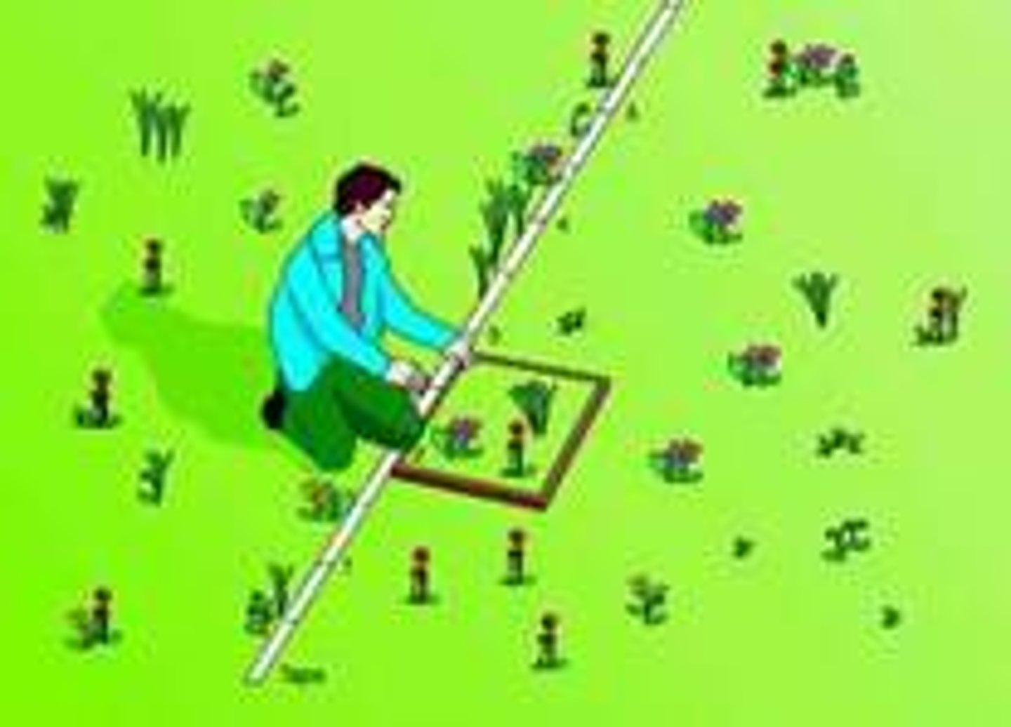 <p>Using a known small area at random to count organisms within that area. The number of organisms within that area can give an approximate estimate of the population of that particular species in a larger area.</p>
