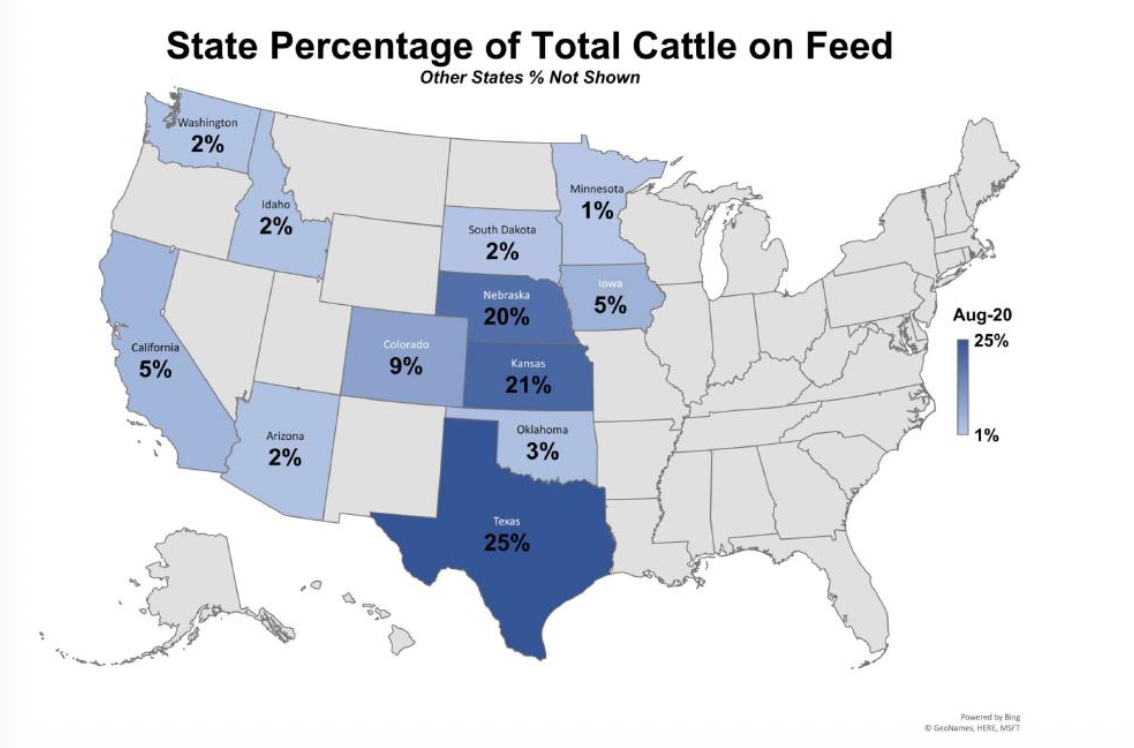 <p>Feedyards most conc. in central US. dryer states better for cattle </p>