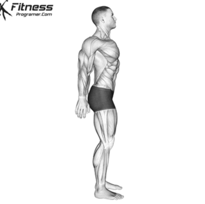 <p>moving a body part on the transverse plane backward</p>