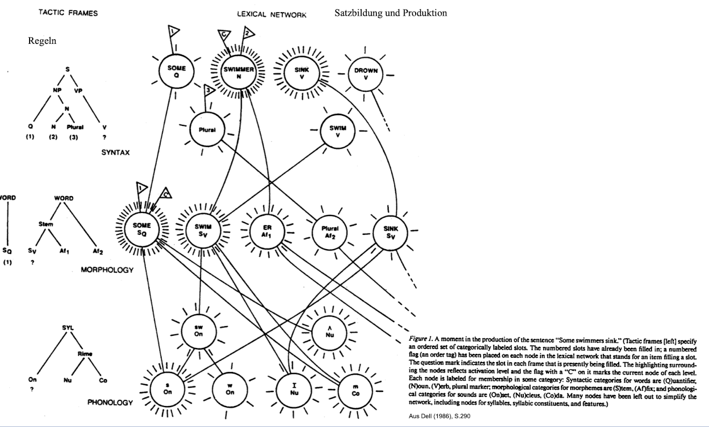 <ul><li><p>Kategoriale Regeln auf den Ebenen der <strong>Semantik</strong>, <strong>Syntax</strong>, <strong>Morphologie</strong> und <strong>Phonologie</strong></p></li><li><p>Ein Lexikon in Form eines konnektionistischen Netzwerks</p></li><li><p>Einfügungsregeln, die festlegen, welches Item in die Repräsentation eingefügt wird</p></li></ul>