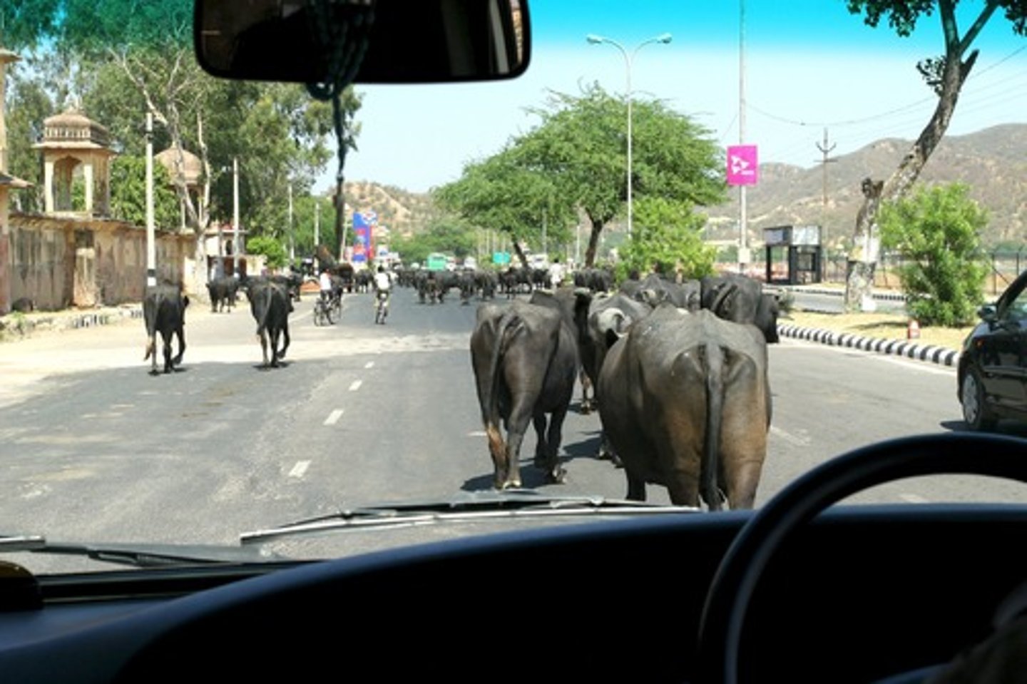 <p>hinder; obstruct, delay,</p>