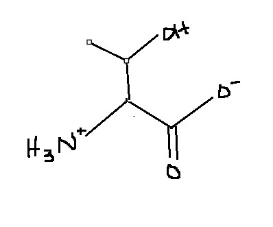 <p>Which amino acid is this?</p>
