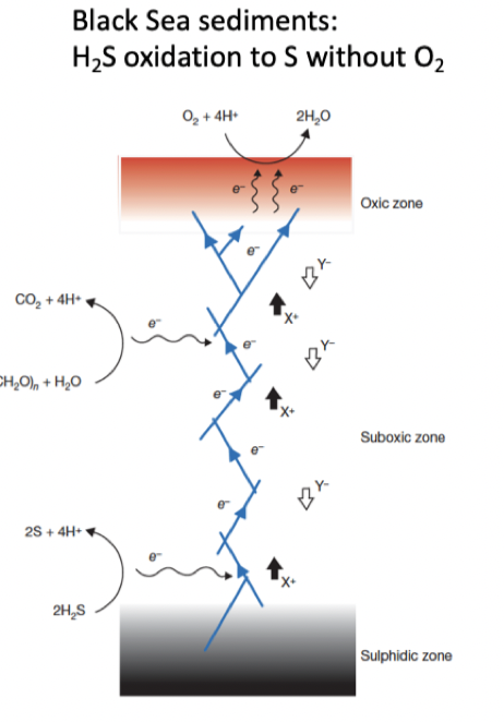 Fe and nanowires
