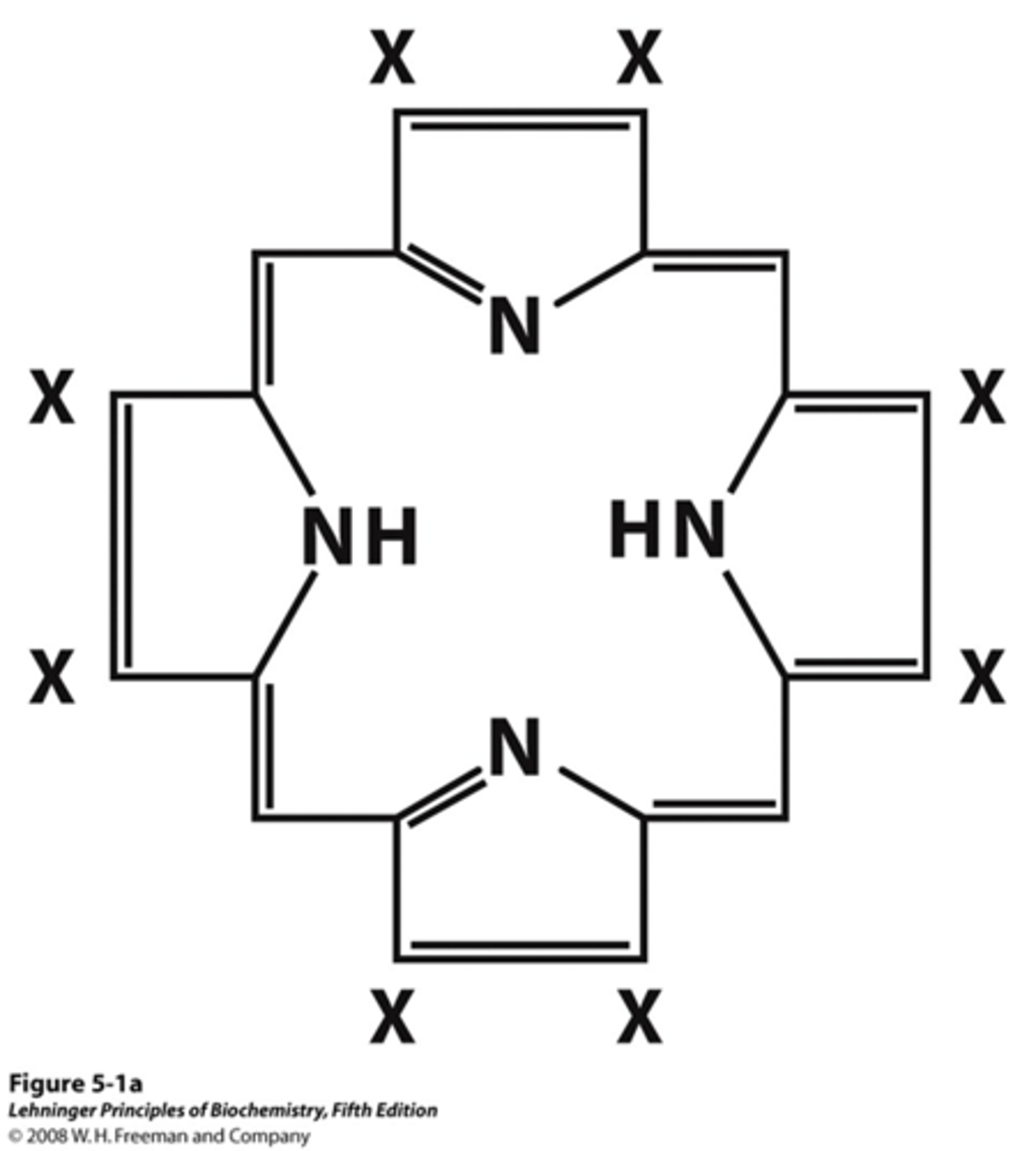 <p>Consists of a complex organic ring structure, protoporphyrin IX, with a bound iron atom in its ferrous (Fe2+) state.</p><p>- The iron concentration within this is able to bond to oxygen by moving Histidine (His) in and out of the plane</p><p>Present in hemoglobin and myoglobin</p>