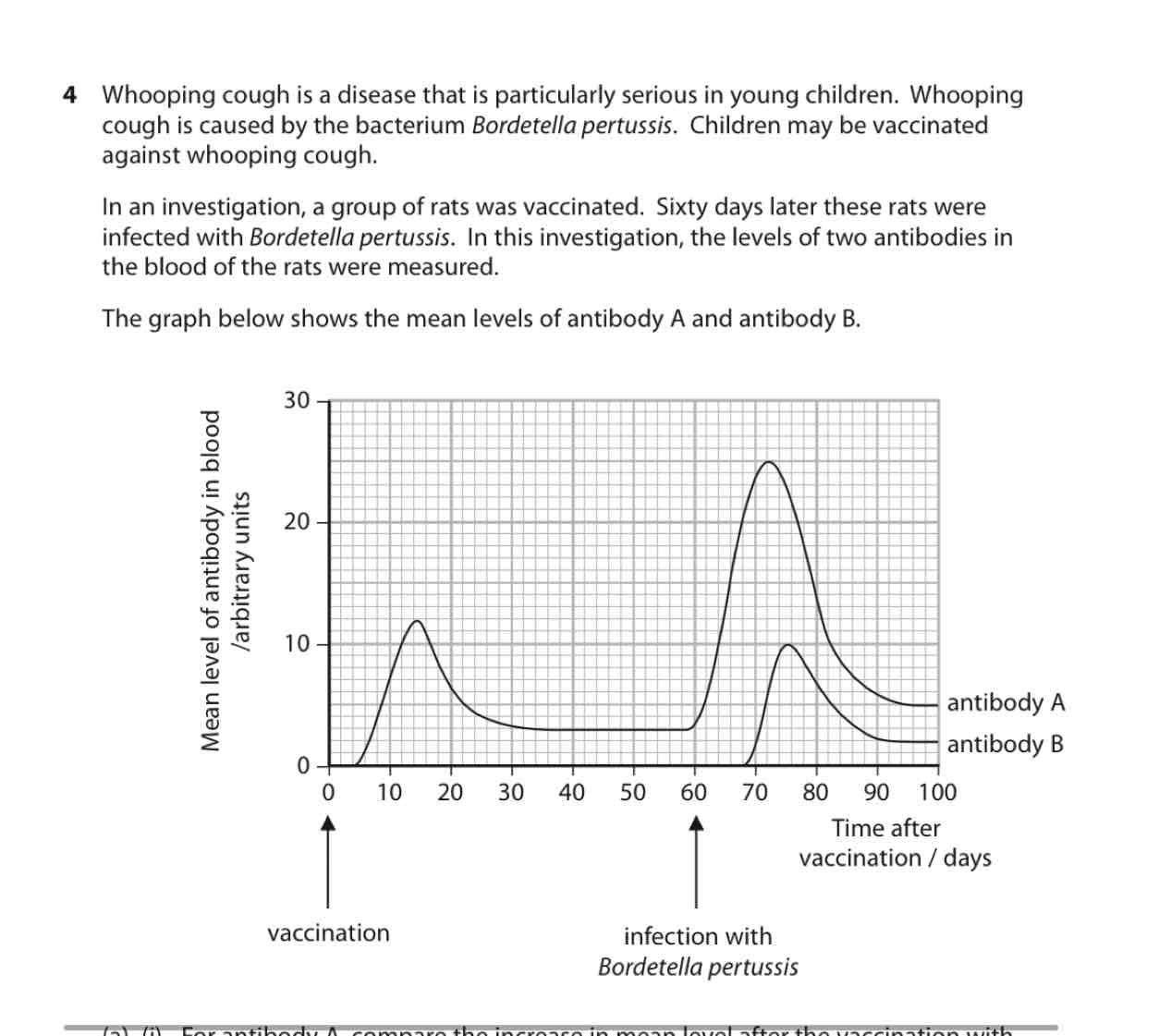 <p>(A) (I) For antibody A, compare increase in mean level after vaccination with mean level after infection of <em>Bortella pertussis</em></p><p>B) (I) Explain the changes in mean level of antibody A after infection with Bordtella pertussis </p><p>B (ii) Suggest why antibody B was not present in blood of these rats until after infection with Bordetella pertussis </p><p>C) Comment on reliability </p>