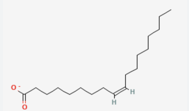 <p>18 carbons, 1 double bond at carbon 9</p><p>monounsaturated fatty acid</p><p>cis-∆9-octadecenoate</p>