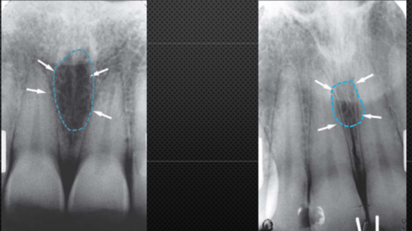 <p>Identify the structure</p>