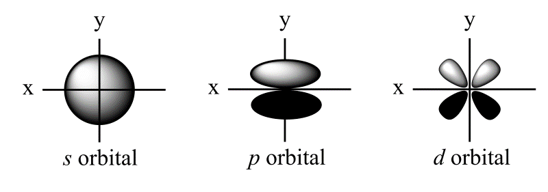 <ul><li><p>s orbitals are spherical</p></li><li><p>p orbitals are dumbbell shaped; x, y, z</p></li><li><p>d orbitals are clover-shaped</p></li></ul><p></p>