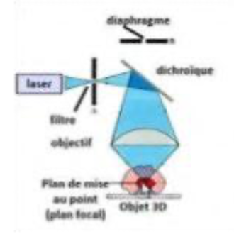 <p>Un <strong>laser monochromatique</strong> est utilisé comme source lumineuse. Il émet une lumière d’une longueur d’onde très spécifique, ce qui permet une excitation précise des fluorochromes présents dans l’échantillon. <br><br>La lumière émise est ensuite <strong>filtrée</strong>, afin de ne conserver que celle correspondant à la longueur d’onde souhaitée. <br><br>Un<strong> miroir dichroïque</strong> oriente le faisceau laser vers un plan focal déterminé dans l’échantillon. <br><br>Seule<strong> la fluorescence émise</strong> par le plan focal est captée par le <strong>détecteur</strong>, tandis que les signaux provenant d’autres plans (hors-focal) sont éliminés par un <strong>système de diaphragme</strong>. <br></p><p>Cela améliore considérablement la netteté et le contraste de l’image obtenue</p>