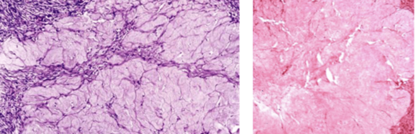 <p>What cell type?</p>