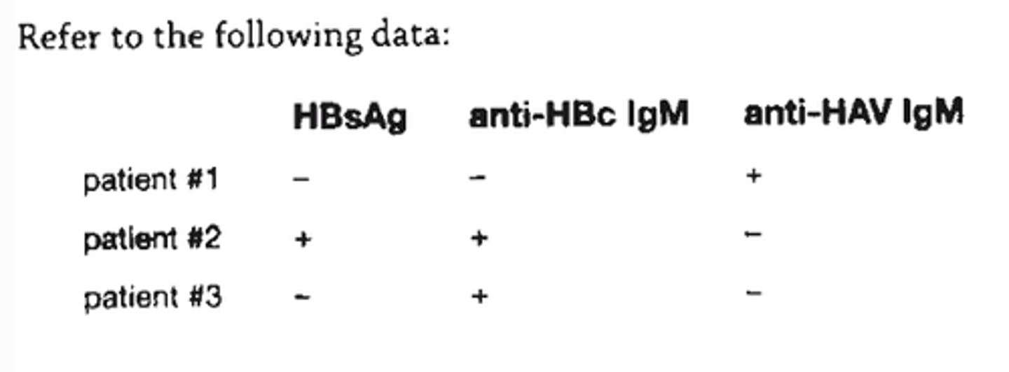 <p>b. acute hepatitis B</p>