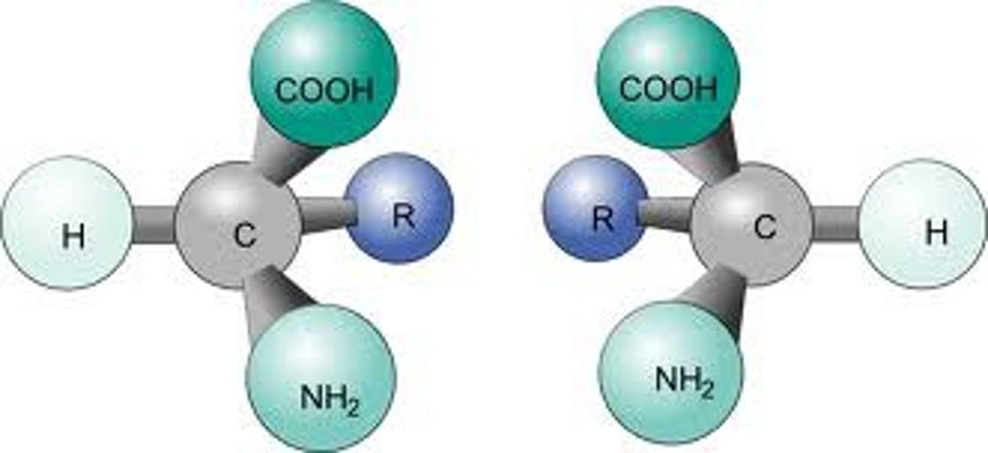 <p>a molecule whose mirror image is not super imposable on itself (has at least one stereocenter)</p>