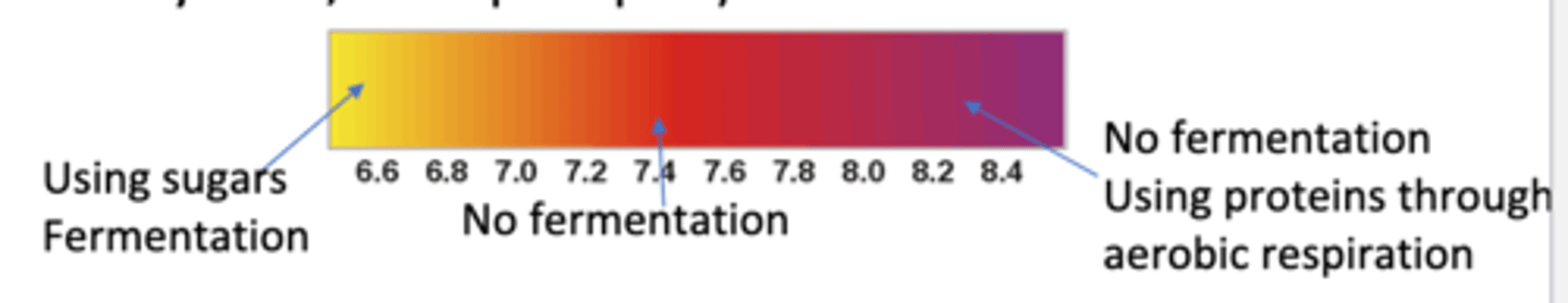 <p>red, yellow, pink</p>