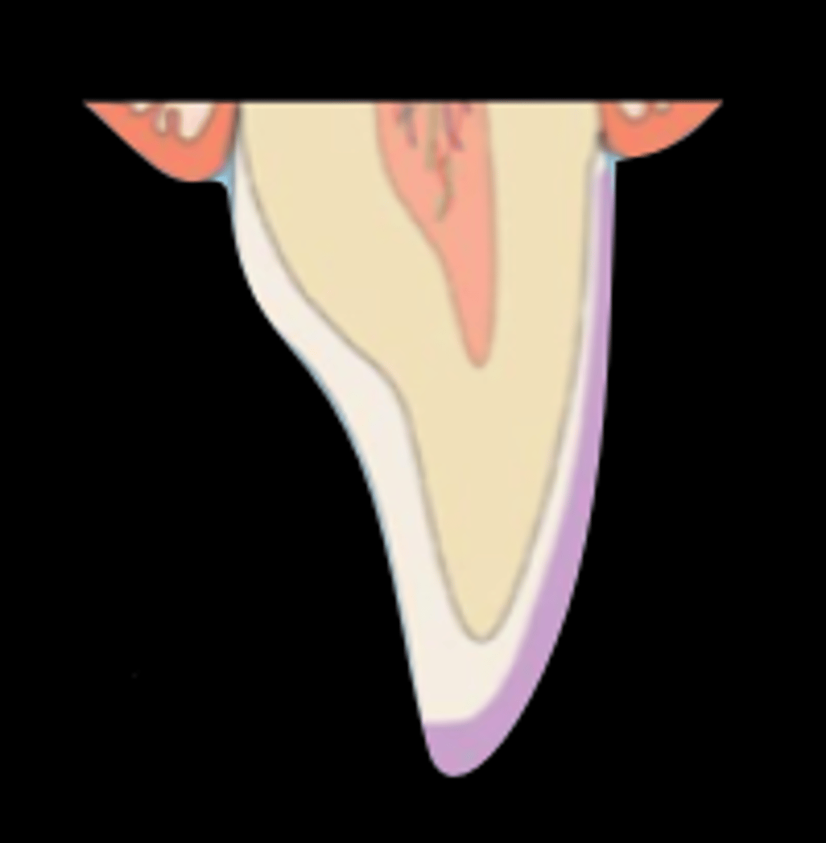 <p>What type of incisal preparation?</p>