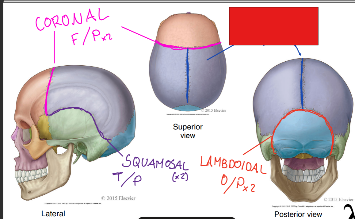 <p>fill in the red box:</p>