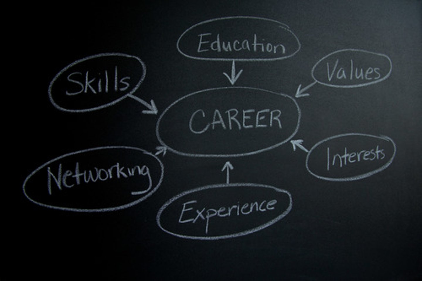 <p>career</p>
