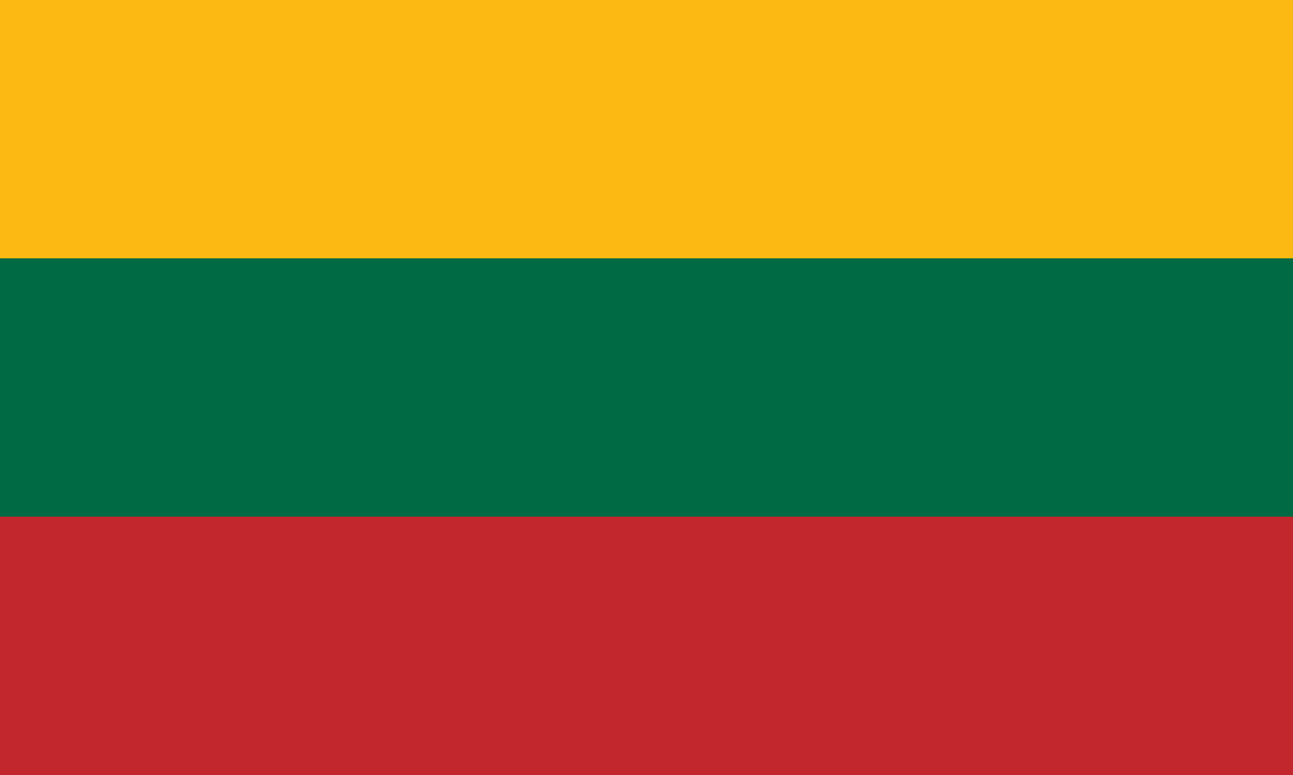 <p>País: <strong>Lituania.</strong><br>Gentilicio:<strong> Lituano. Lituana.</strong></p>