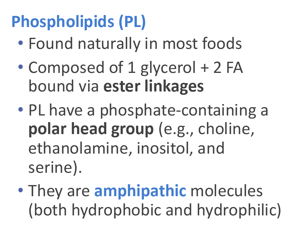 <p>Found Naturally in most foods</p><p>Composed of 1 glycerol + 2 FA bounded by ester linkages</p><p>PL have a phophate containing polar head group</p><p>Amphipathic(Hydrophilic &amp; Hydrophobic)</p>