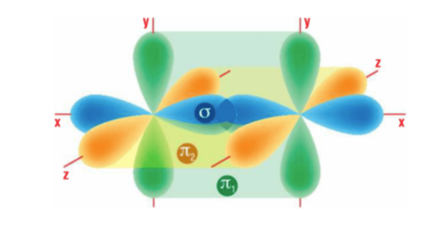 <p>triple bond</p>