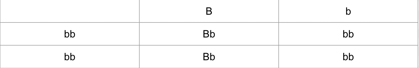 <ul><li><p>using the <strong>homozygous recessive</strong> in a cross to determine if parent is heterozygous or homozygous dominant</p></li></ul><p></p>