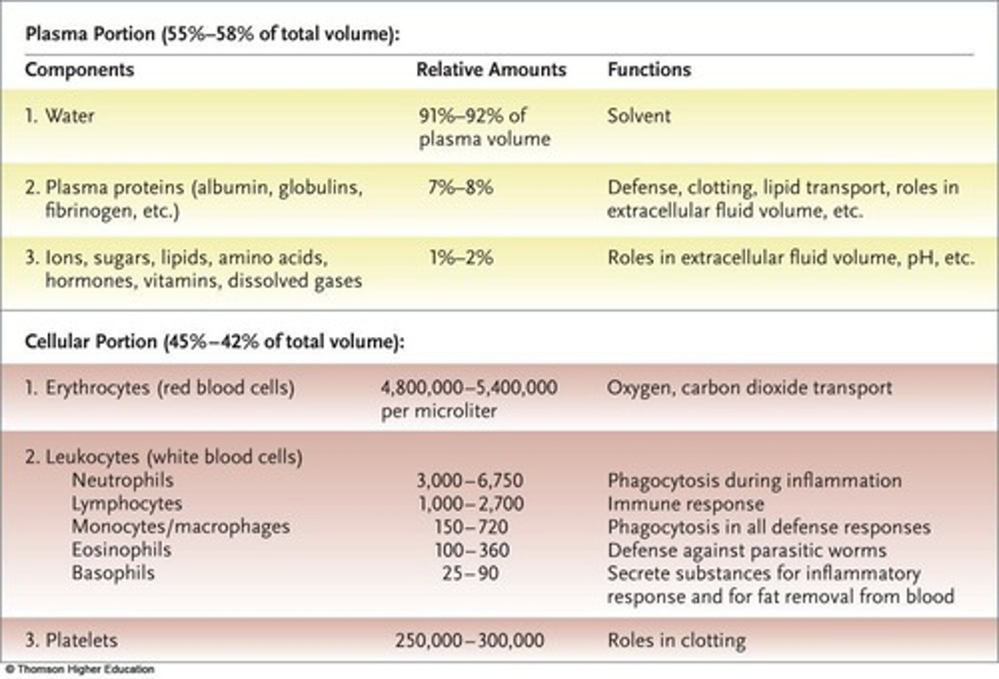 <p>Condition of abnormally low hematocrit.</p>