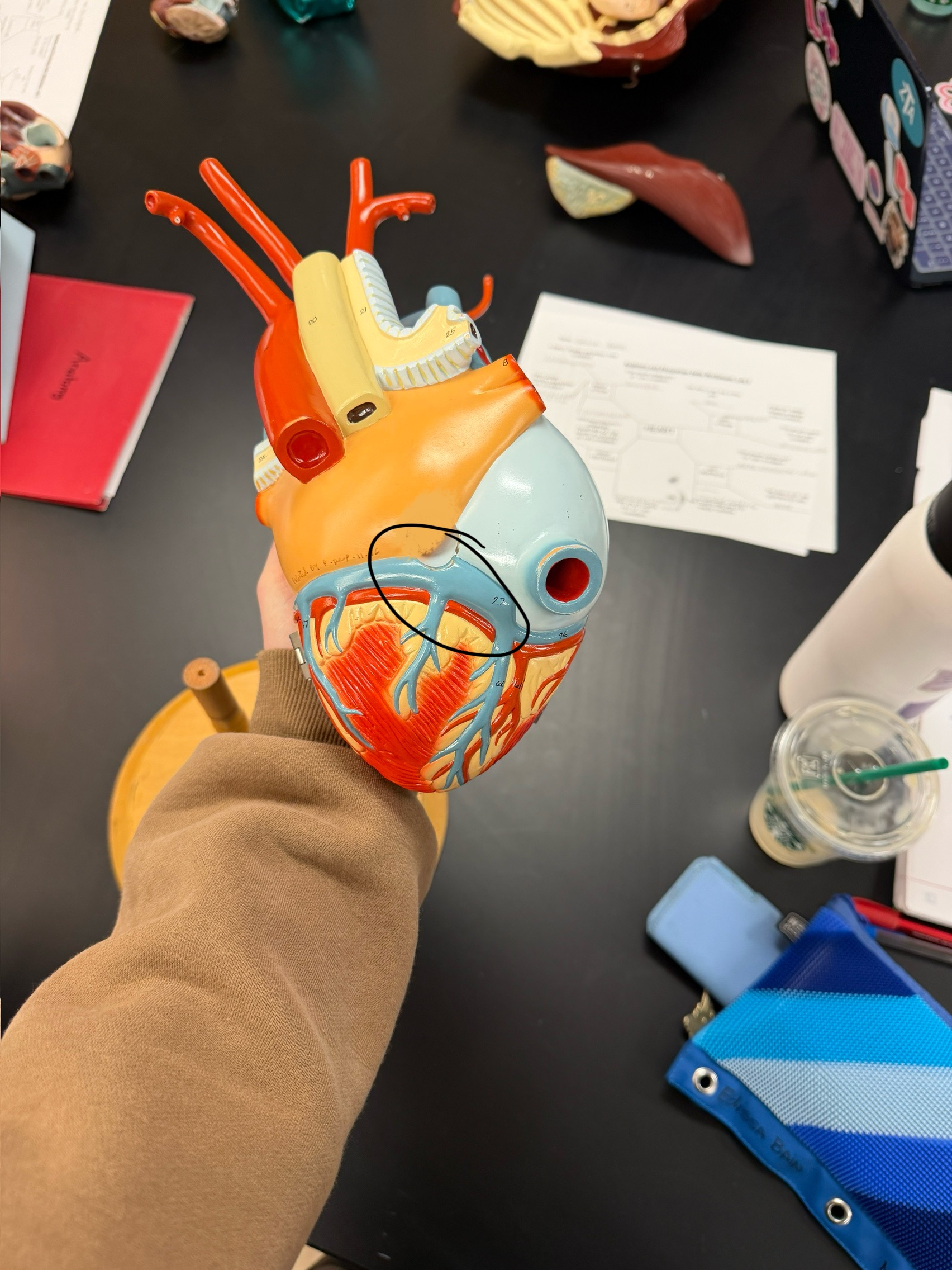 <p>name this structure</p>