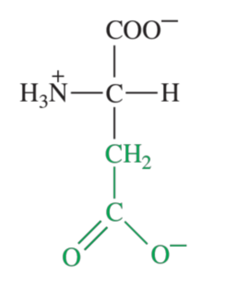 <p>What amino acid is shown in the image?</p>