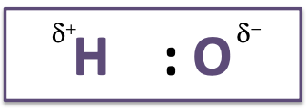 <p>w<span><span>hy are electrons not equally shared between hydrogen and oxygen?</span></span></p>