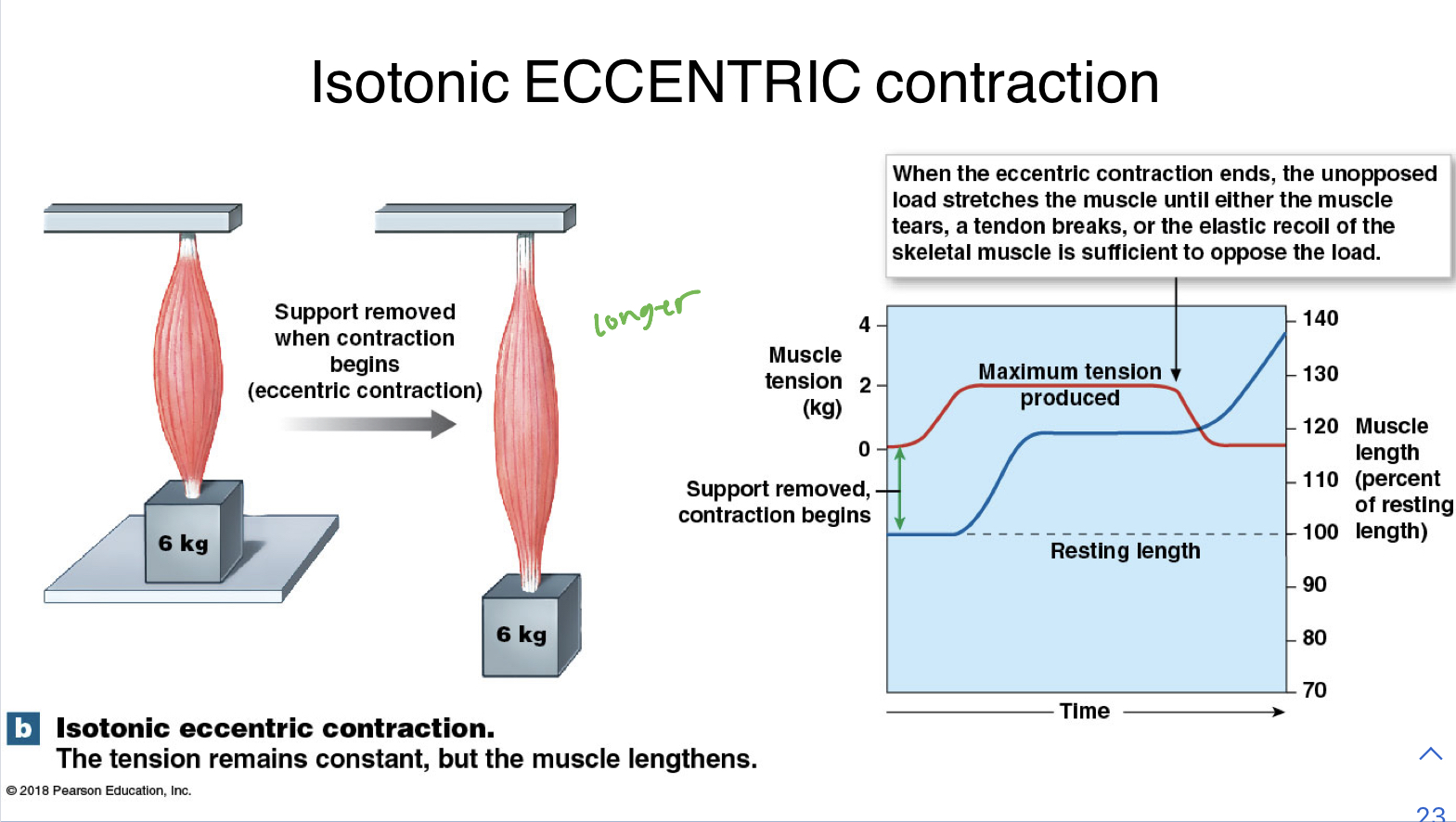 Eccentric